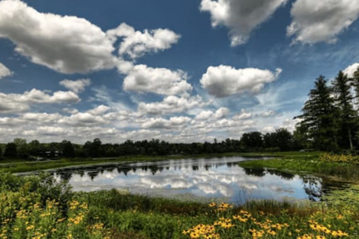 Optima Verdana luxury apartment with A can't-miss scene: a pond surrounded by wildflowers and trees reflects a sky of fluffy white clouds—nature's best exhibition in 2024.