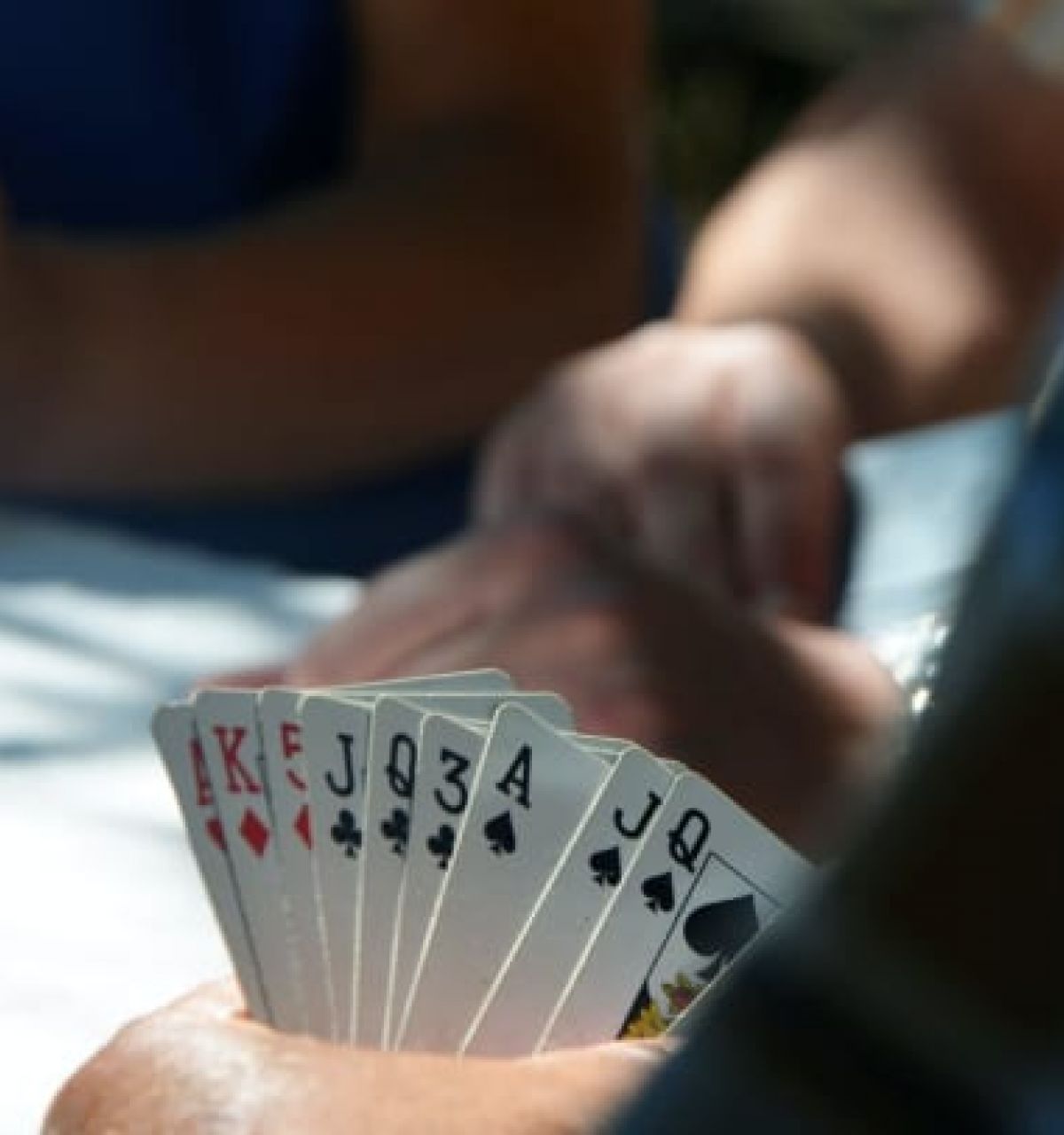 Optima Verdana luxury apartment with Close-up of a person holding playing cards at a bridge table, with others enjoying the art of bridge in the background.