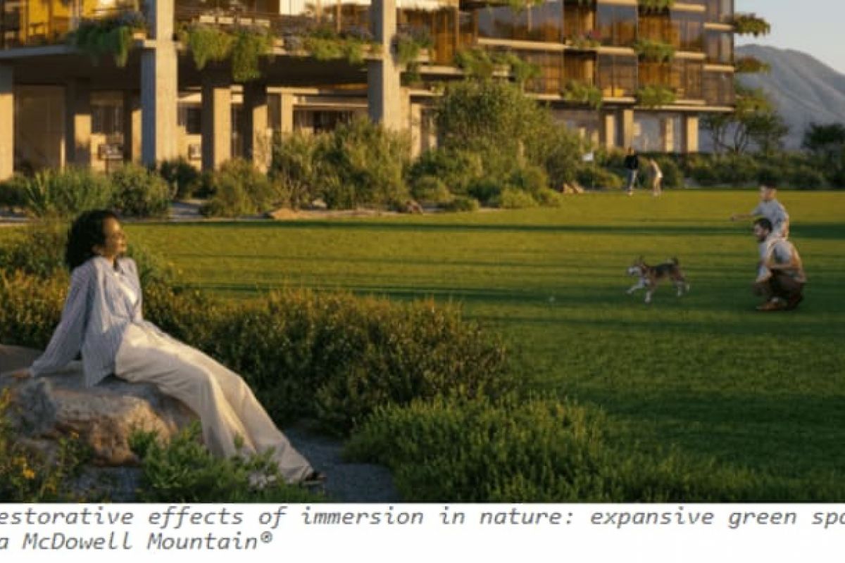 Optima Verdana luxury apartment with A woman sits on a rock in a lush green park, finding mental clarity as people and a dog play nearby, with buildings and mountains behind.