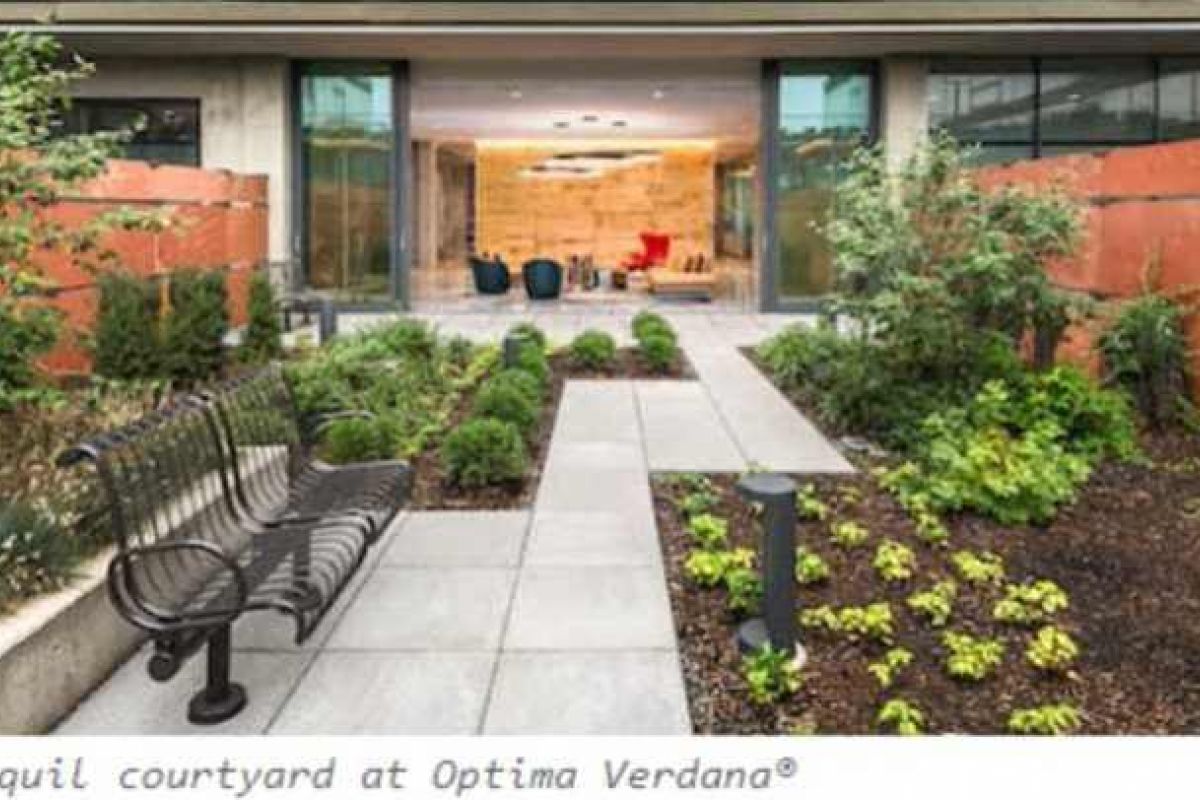 Optima Verdana luxury apartment with A landscaped courtyard with a bench, plants, and a walkway—ideal for mindfulness practice—leads to a modern building entrance.