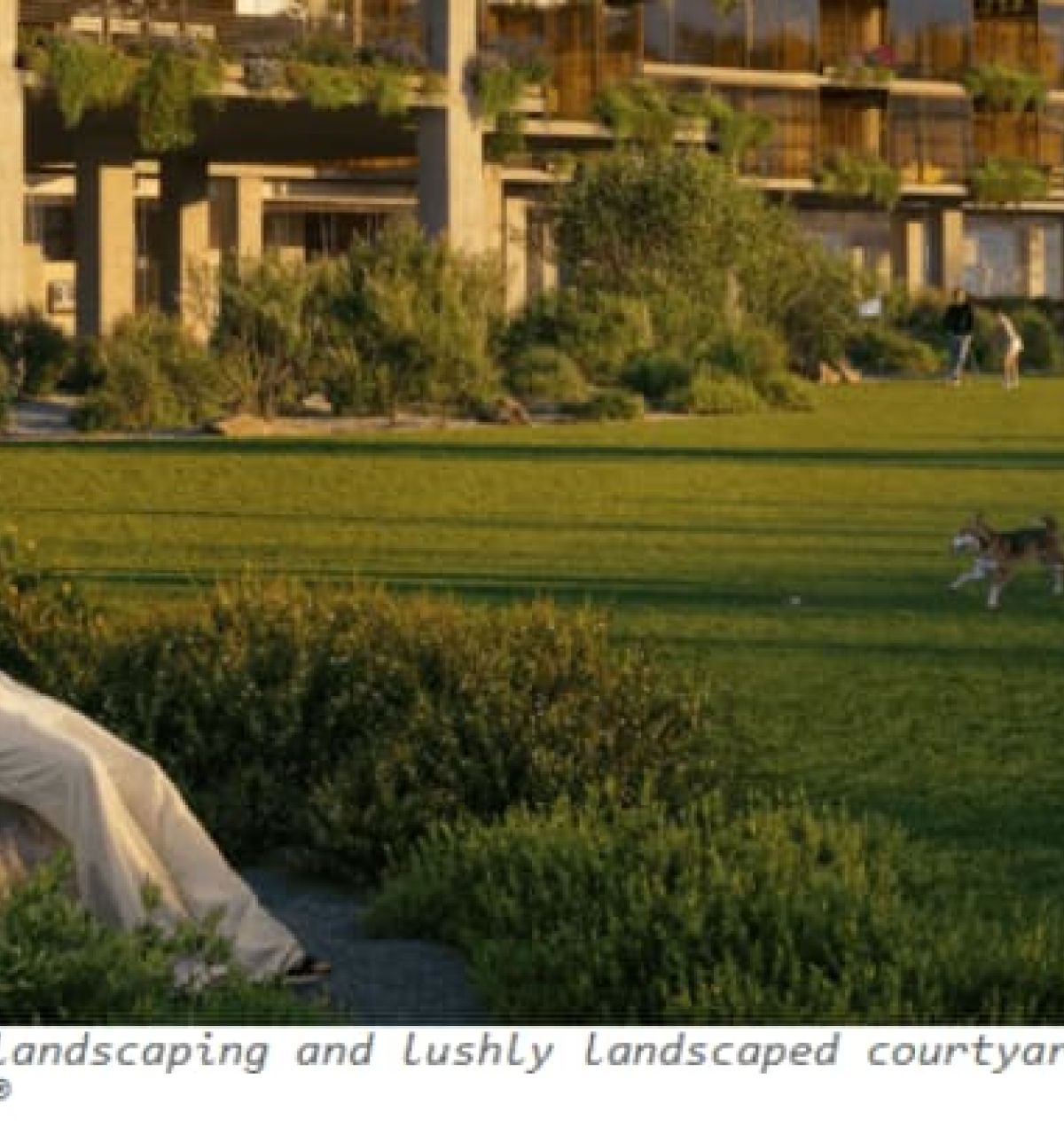 Optima Verdana luxury apartment with A woman relaxes on a rock while people and dogs play on a green lawn near the Regenerative Architecture of Optima Verdana apartments.