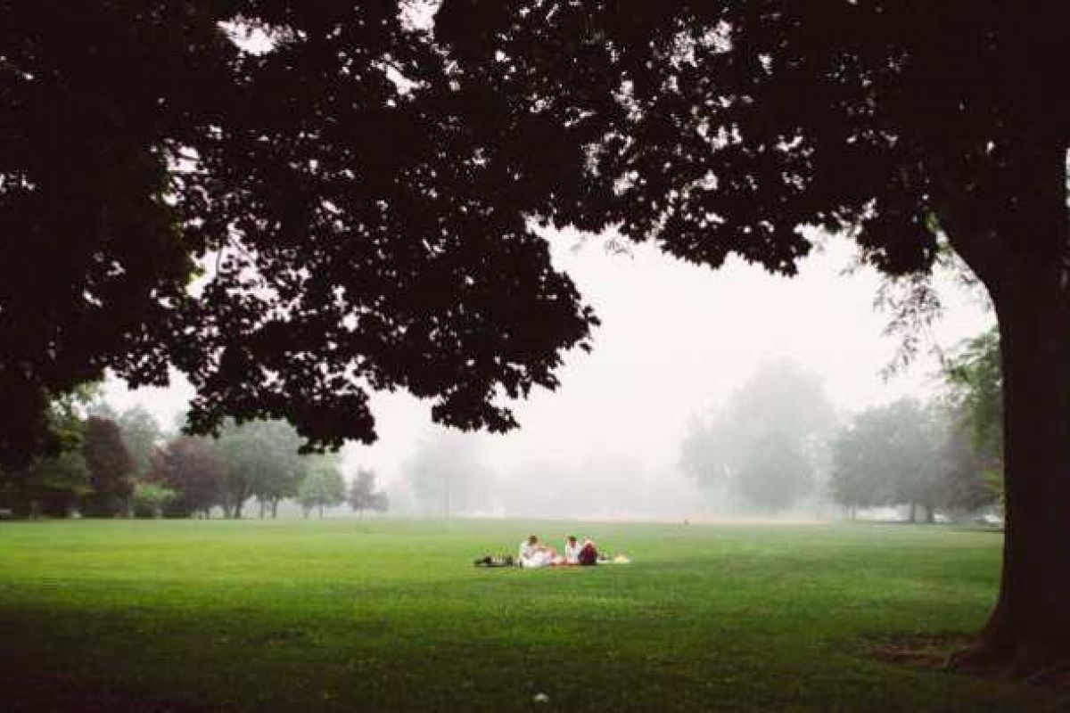 Optima Verdana luxury apartment with A group of people have a picnic on a grassy field under large, shady trees in the misty Gillson Park.