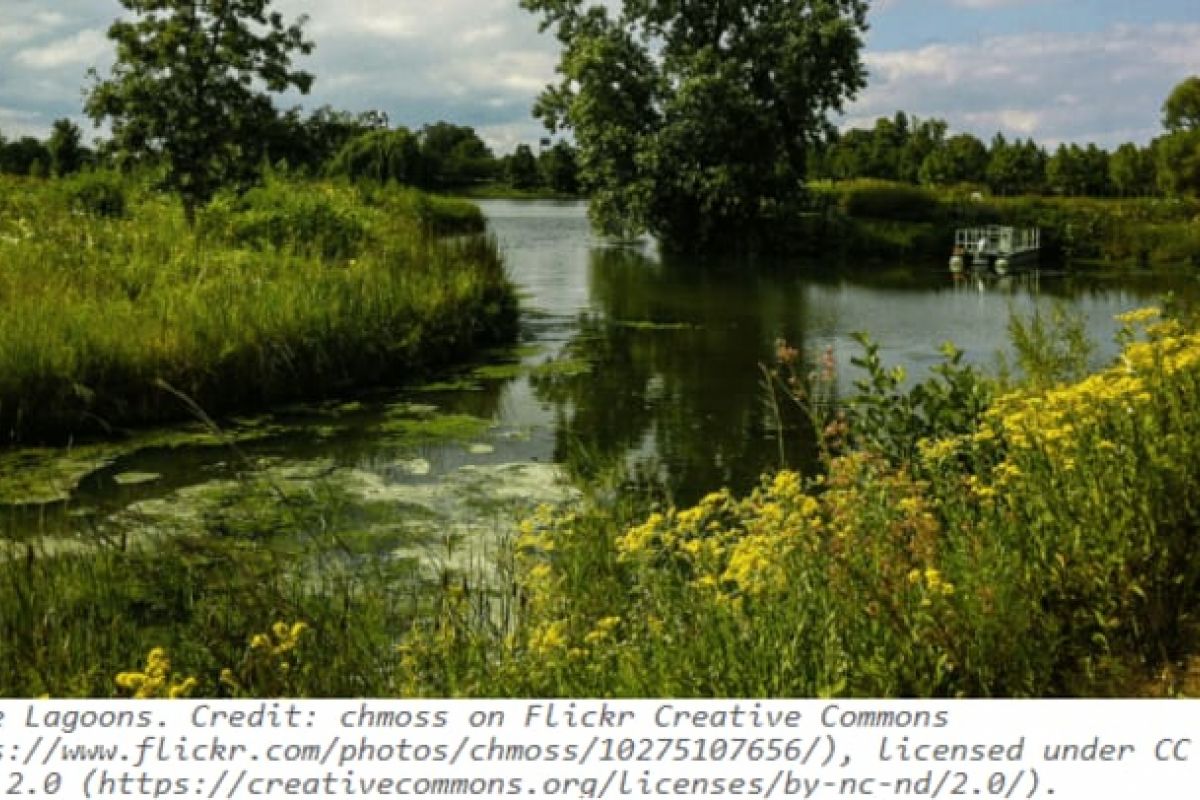 Optima Verdana luxury apartment with A peaceful Skokie Lagoons scene with green plants, trees, a dock, and paddles—perfect for bird-watching under a blue sky with clouds.