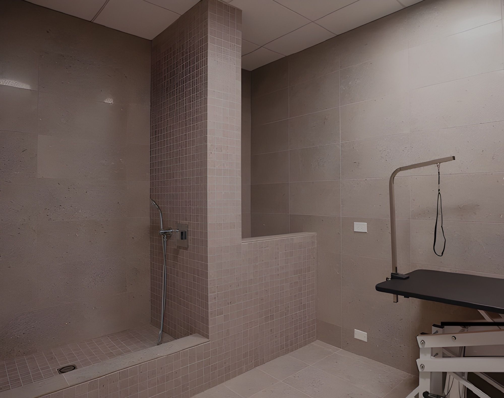 Optima Verdana luxury apartment with A tiled pet washing station with a showerhead, grooming table, and leash holder in a modern room.